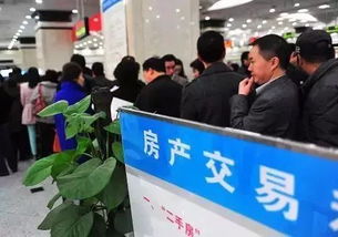 廊坊市民請(qǐng)注意 這些資金今后不得作為購房首付